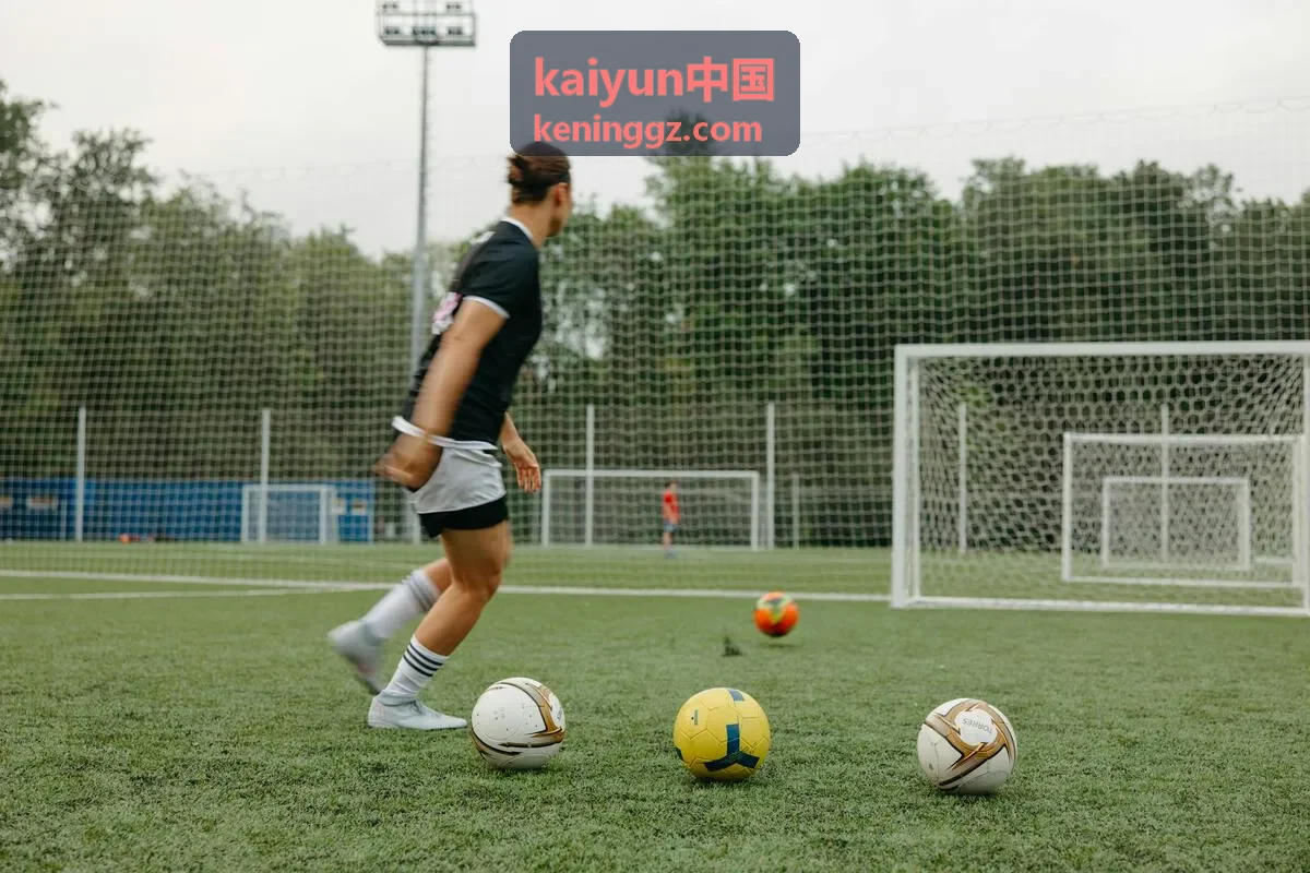kaiyun中国系统集成与数据归集界面示意