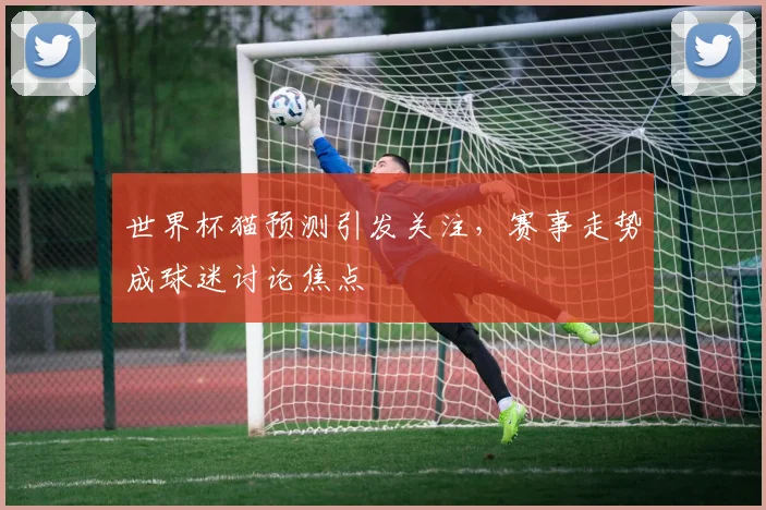 世界杯猫预测引发关注，赛事走势成球迷讨论焦点
