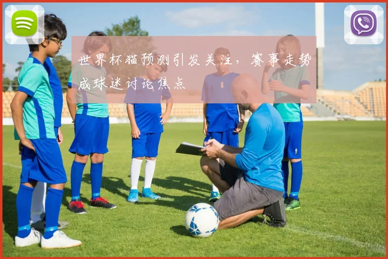 世界杯猫预测引发关注,赛事走势成球迷讨论焦点