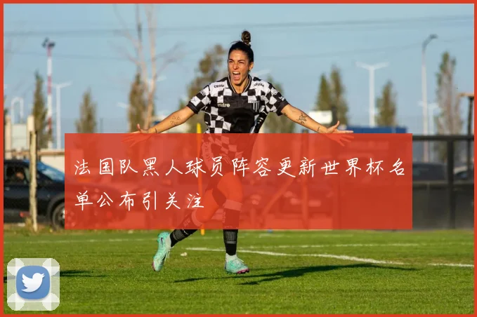 法国队黑人球员阵容更新世界杯名单公布引关注