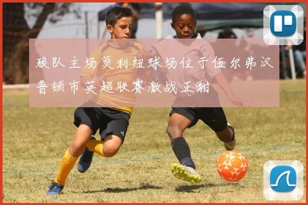 狼队主场莫利纽球场位于伍尔弗汉普顿市英超联赛激战正酣