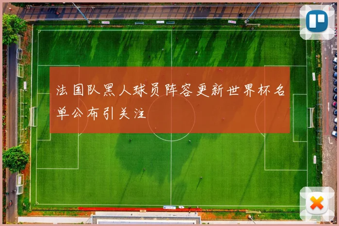 法国队黑人球员阵容更新世界杯名单公布引关注